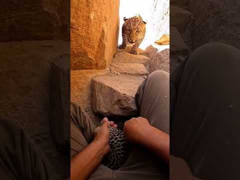 Rock Throat Rescue Breaks at a Sudden Lunge