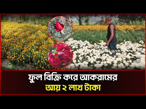 ফুল বি‌ক্রি ক‌রে আকরা‌মের আয় ২ লাখ টাকা