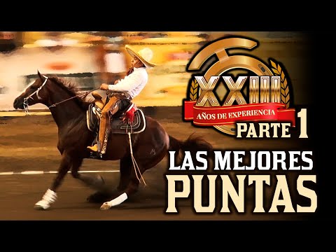 Best TIPS part 1 - Millionaires Fishing Grounds 2020 THV