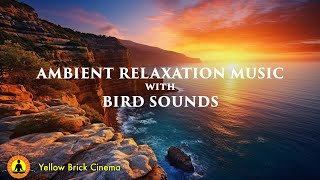 Ambient Music for Relaxation, Stress Relief Music, Silent Relaxing Music, Bird Sounds for Sleeping