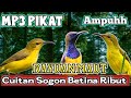 MP3 PIKAT AMPUH ATASI SOGOK ONTONG LIAR YANG SUSAH TURUN