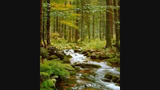 This Ascension-Mysterium (With Lyrics + Translation)