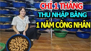 Young Girl Chooses Raising Thai Coconut Worms, Has Income Equal to a Year's Work as a Factory Wor...