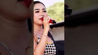 Download lagu HADUH KANG KULA MELU - POPY SAMANTHA - PKL KING PRO #nirwanamandalasakti #tarling #pantura mp3 Download lagu HADUH KANG KULA MELU - POPY SAMANTHA - PKL KING PRO #nirwanamandalasakti #tarling #pantura mp3