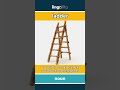ladder (noun) - definition and usage in English