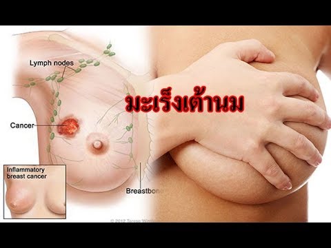 หนังโป๊ที่สวยงามที่มีหน้าอกเล็ก ขยายขนาดหน้าอกธรรมชาติ