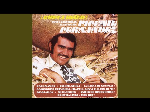 download lagu mp3 mp4 Preta Linda, download lagu Preta Linda gratis, unduh video klip Preta Linda