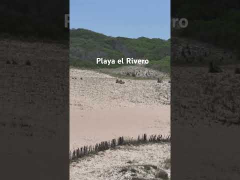 Playa el Rivero en Punta del diablo Rocha Uruguay #holidays #travel #playa #uruguay #viral #turismo