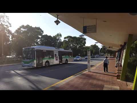 [Rare] Transperth Mercedes-Benz O405NH (Volgren CR225L) TP1788 Departs Curtin University Bus Station