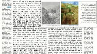 דף יומי מסכת סנהדרין דף קיג Daf yomi Masechet Sanhedrin page 113  ע"י יוני גוטמן (שיעורי הדף היומי ב-20 דקות – מועבר ע"י ר' יוני גוטמן – לעילוי נשמת אביו ר' אלימלך צבי (צביקה) גוטמן ז"ל) - התמונה מוצגת ישירות מתוך אתר האינטרנט יוטיוב. זכויות היוצרים בתמונה שייכות ליוצרה. קישור קרדיט למקור התוכן נמצא בתוך דף הסרטון