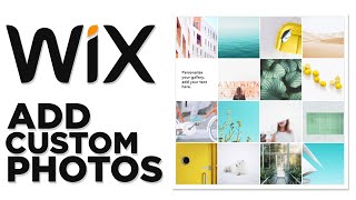 Wix Gallery Tutorial 2024 - How to Add Custom Photos on your Wix website