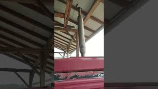 Case IH 1455 XL traktor eladó