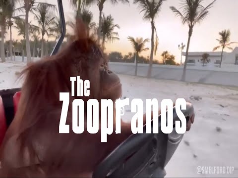 This Hilarious Mélange Of The Golf Cart Orangutan And 'The Sopranos' Theme Is The Mashup We All Deserve