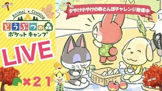 [ポケ森]ライブ#21 雑談しながらほのぼのスローライフ♪  どうぶつの森ポケットキャンプ