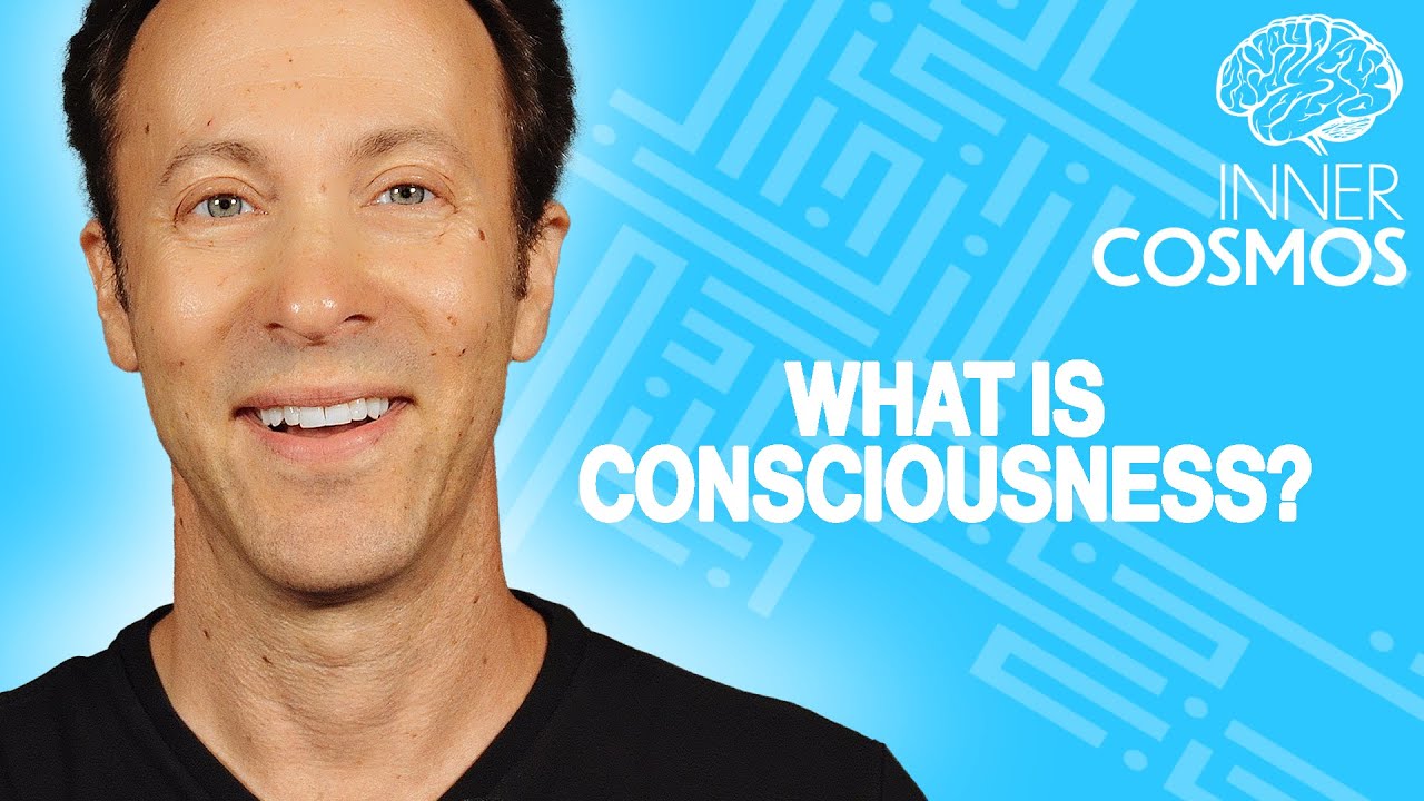 What is Consciousness? | INNER COSMOS WITH DAVID EAGLEMAN