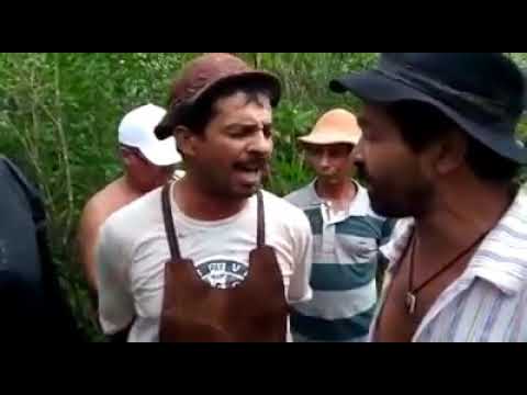 Toada da vaca chuvisco