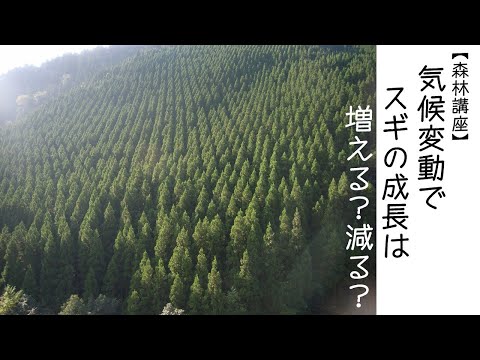 気候変動: 植物の成長がなくなる