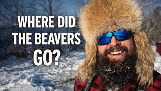 Where Did the Beaver Go? while Ice Camping