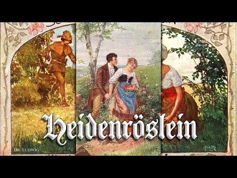 Heidenröslein [German folk song][+English translation]