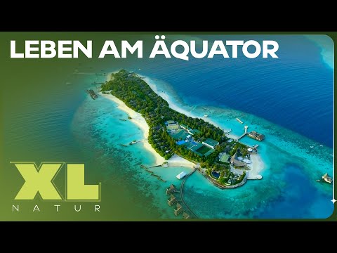 Der Äquator: Traumstrände und Wetterphänomene | XL Naturdoku