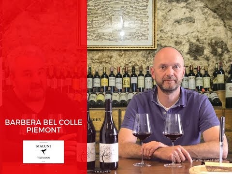 🔴 Weinverkostung Barbera von Bel Colle Piemont Maluni TV