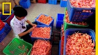 How Dolls Are Made | I Didn&#39;t Know That