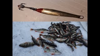 Блесна для зимней ловли окуня своими руками