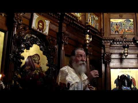 Parintele Iustin Neagu, Pilda Samarineanului Milostiv, 11.11.2018