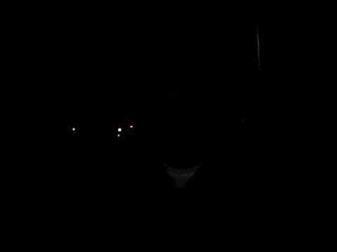 freestyle mutiaratec