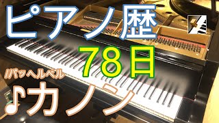 Download lagu 【題名のない1人演奏会】グランドピアノでパッヘルベルのカノンを弾いてみた！ピアノ歴2ヶ月半のおじさんが【ぷりんと楽譜/中級】に挑戦♪ mp3