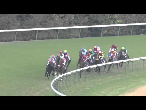 第31回 ジャパンカップ（ＧⅠ） ブエナビスタ　2011/11/27