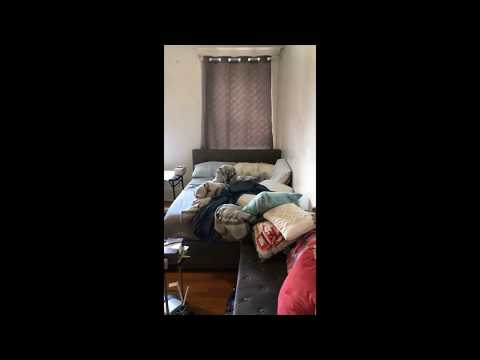 175 Hemenway St., #8, Boston, MA 02115 (Fenway)