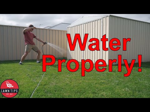 download lagu mp3 mp4 How Often To Water Kikuyu Lawn, download lagu How Often To Water Kikuyu Lawn gratis, unduh video klip How Often To Water Kikuyu Lawn