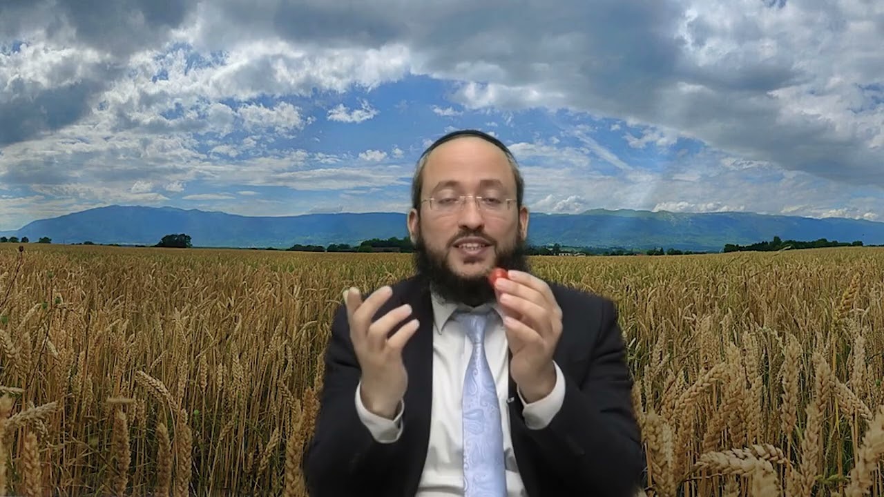 ארץ חמדה |כיצד מפרישים תרומות ומעשרות הלכה למעשה | הרב אברהם חדאד