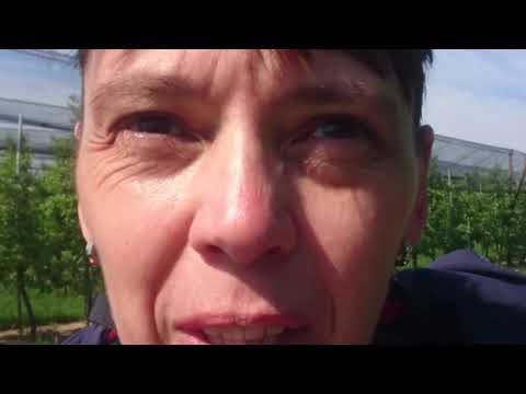 6.Etappe Brochenzell - Markdorf - Meersburg,  27 km