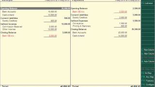 Tally.ERP 9 Receipts and Payments statement Presentation