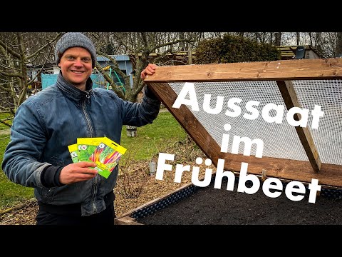 Aussaat im Frühbeet I Diese 7 Gemüsesorten solltest Du bereits im Februar  aussäen