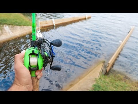ENORMOUS Bass Caught While Fishing HIDDEN Canal (Record Day) Video