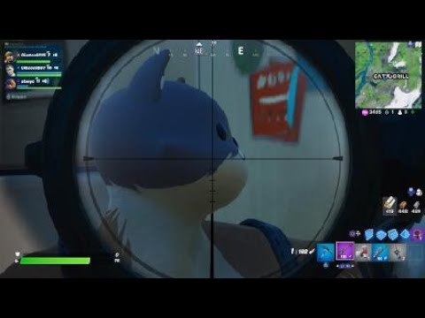 Fortnite presentazione di miaoscolo per il film di kit