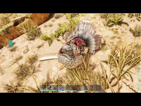 Ark Ascended - Murder Turkey The Easy Way