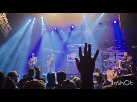 The Elovaters and Surfer Girl live in Dallas 03/7/2025