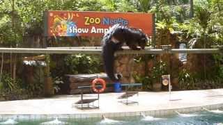 preview picture of video 'Zoo Negara ,Kuala Lumpur.'