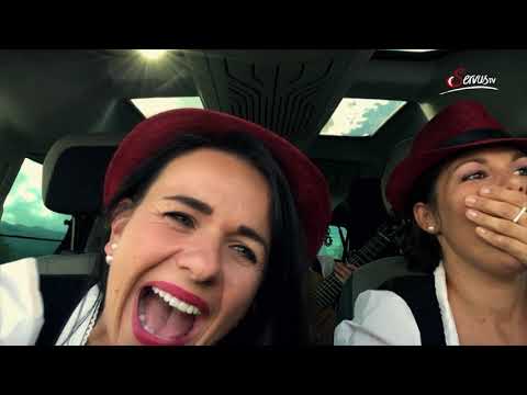 Die Hollerstauden: Des passt mir so - Die Entstehungsgeschichte des Hits