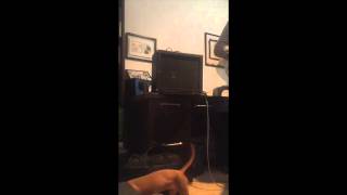 Video thumbnail for Mike Matthews Freedom Amp Demo Electro Harmonix by The mediocre musician