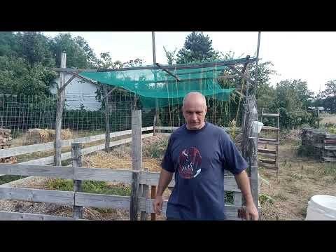 Mélymulcs 38 - szárazság és termény betakarítás és természetesen kóstolás