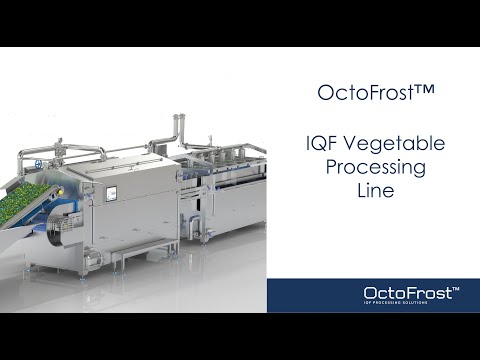 IQF Fruits & Vegetable Processing Line