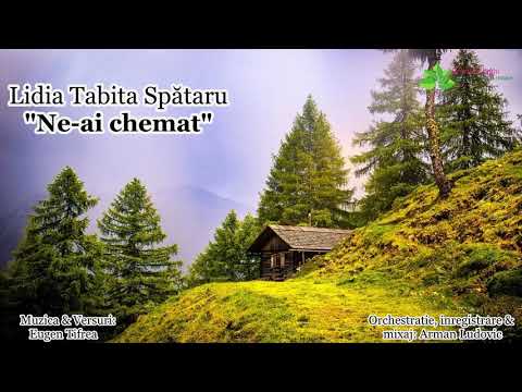 Lidia Tabita  “Ne-ai chemat”