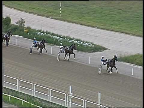 Trotto 30/07/2016 - 1° prova di qualifica