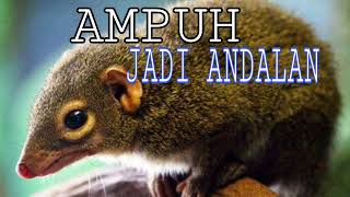 Download lagu SUARA TUPAI KEKES//AMPUH DAN BERMANFAAT BUAT PIKAT mp3