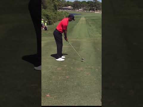 Tiger woods stinger with 3 wood #golfswing #tigerwoods #pgatour